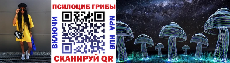 Галлюциногенные грибы Psilocybe  Дедовск 