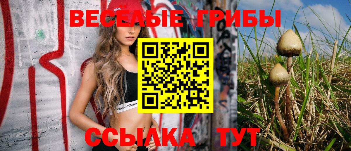 Псилоцибиновые грибы мухоморы  Вход с VPN  Дедовск 