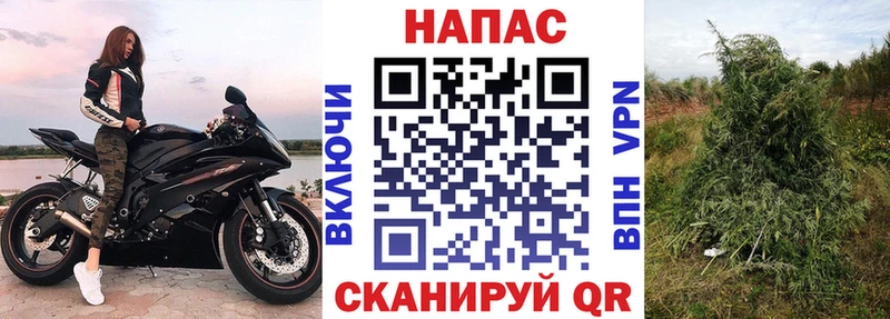 магазин  наркотиков  Дедовск  Бошки Шишки план 