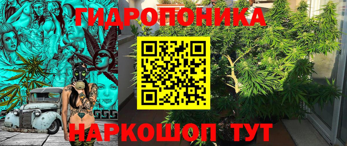 Каннабис Bruce Banner Дедовск
