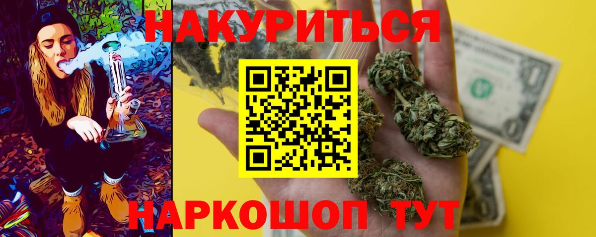 Каннабис сатива  Каннабис THC 21%  Конопля гибрид  Дедовск  Канабис White Widow 