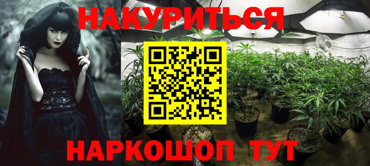 Бошки марихуана THC 21% Дедовск